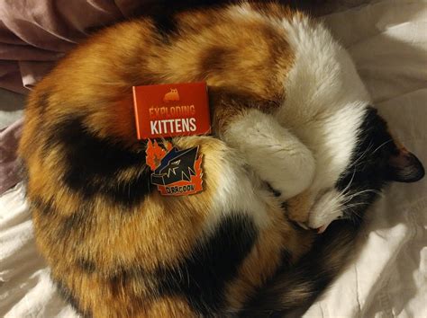 Image result for Exploding Kittens Mashems
