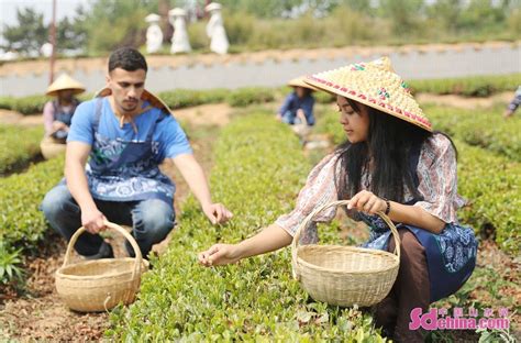 青岛市举办外国留学生专场创业培训活动凤凰网青岛_凤凰网