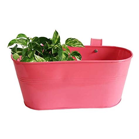 Cute Pot- Oval Railing Planter- Pink : Amazon.in: Garden & Outdoors
