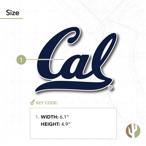 Buy Berkeley University of California Golden Bears Cal UC Golden Bears ...