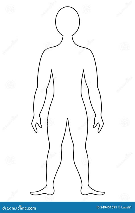 Male Body Outline Drawing