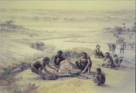 Australopithecus Habilis 的图像结果