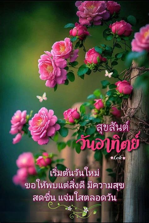 สุขสันต์ วัน อาทิตย์ | ดอกไม้สวย, ฝันดีราตรีสวัสดิ์, ธรรมชาติ