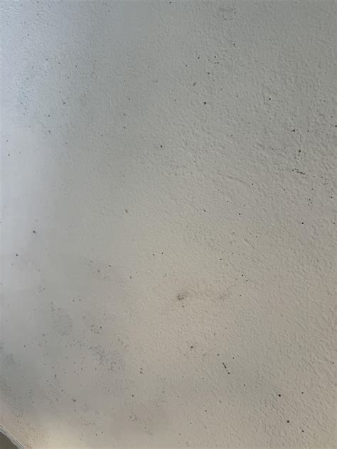Image result for Remove Mold From Textured Ceiling