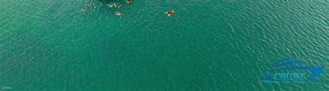 Lan Hay Bay & Cat Ba Island Day Tour by Hong Van Cruise - Klook India