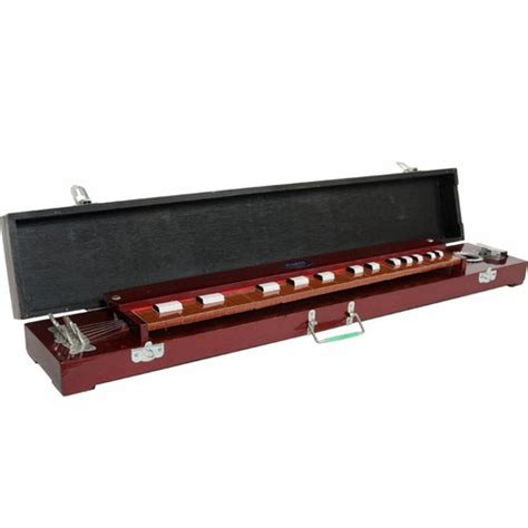 Buy banjira 36 Inch Bulbul Tarang Indian Banjo 10 String Online at ...