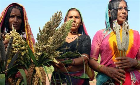 About Sahariya Tribe and House of Sahariya