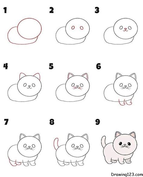 Image result for How to Draw a Cat Tutorial