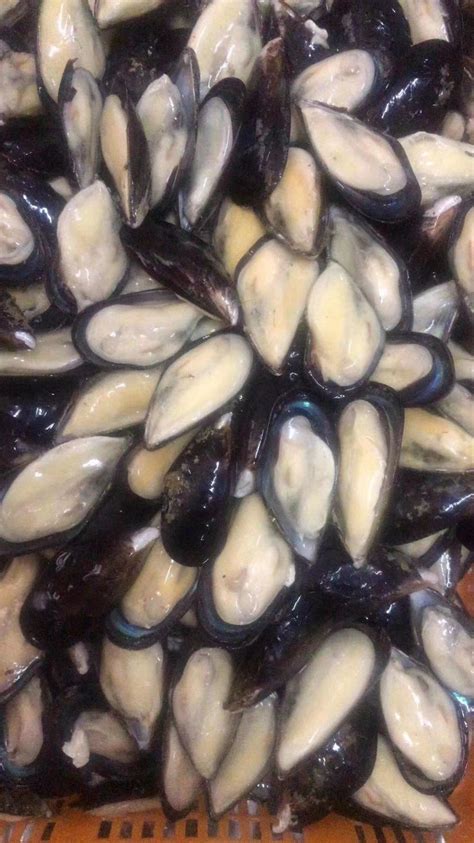 Image result for Recipes Using Frozen Mussel Meat