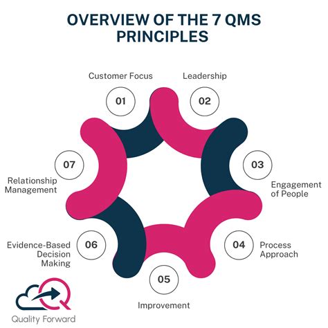 Image result for Quality Management System QMS Principles
