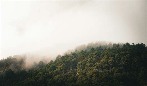 Ass+In+The+Air Photos, Download The BEST Free Ass+In+The+Air Stock ...