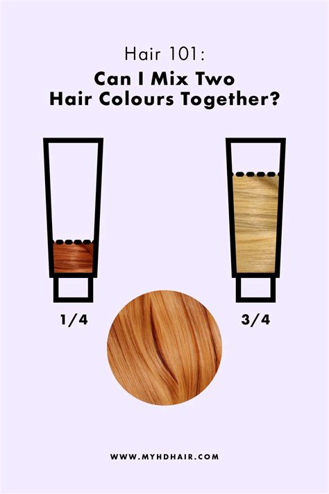 Image result for Two Hair Color Tutorial
