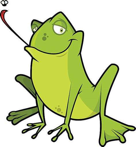Image result for Help This Frog Fly