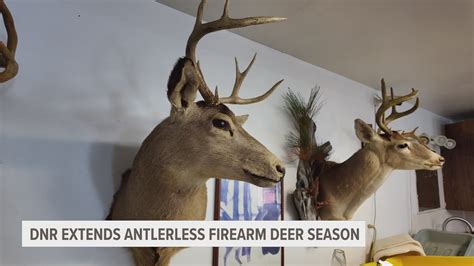 Antlerless firearm deer season extended in MI's southern lower ...