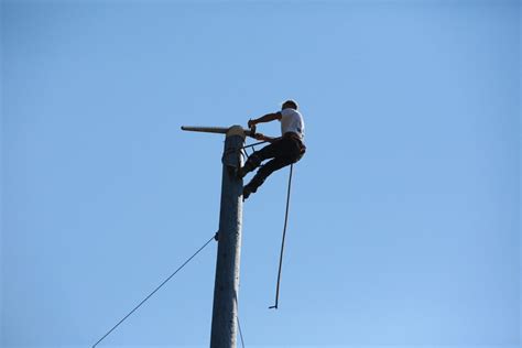 Image result for Logging Shows