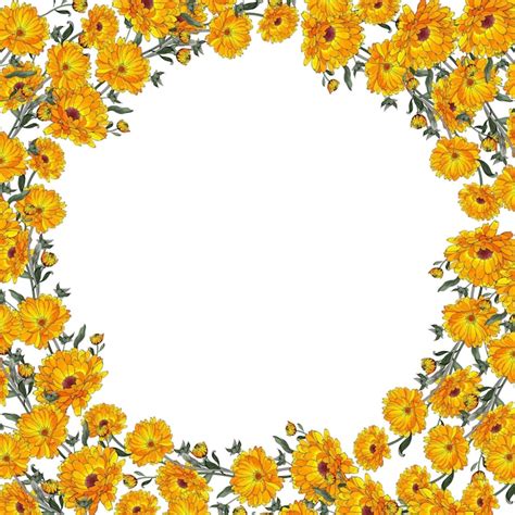 Cadre floral avec calendula de fleurs orange. | Vecteur Premium