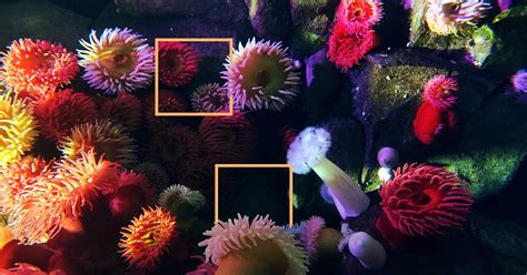 Image result for Data Foundation