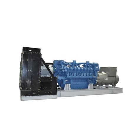 Image result for Electrical Service Connection to Generator