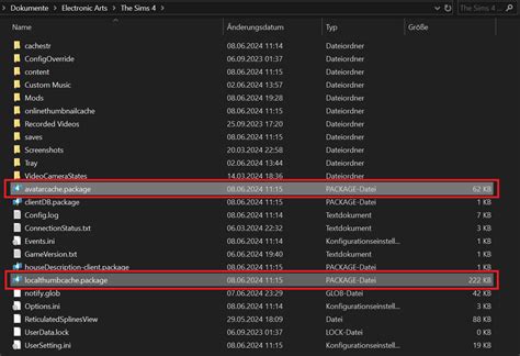 Image result for How to Check Sims 4 Files