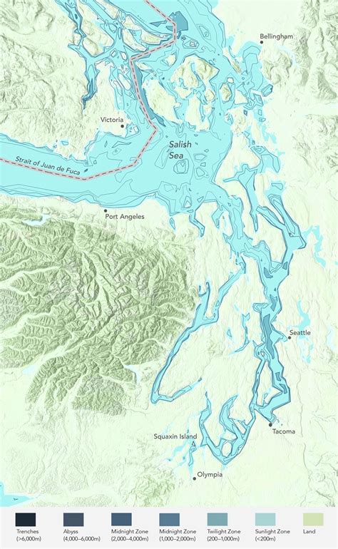 Puget Sound, Washington | The Mysterious World of Bull Kelp