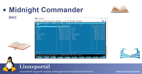 Image result for Midnight Commander