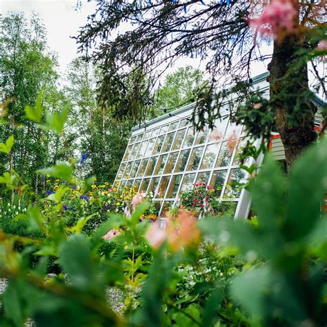 ALASKA BOTANICAL GARDEN (2026) All You Need to Know BEFORE You Go (with ...