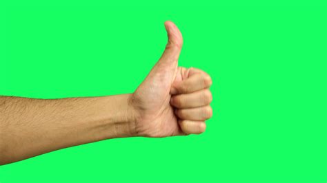 Camera Hand Greenscreen 的图像结果