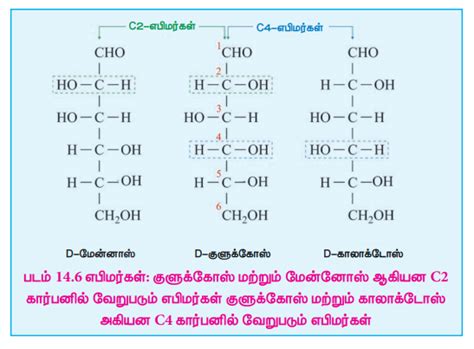 குளுக்கோஸ் - தயாரிப்பு, அமைப்பு, குளுக்கோஸின் வளைய அமைப்பு | Glucose ...