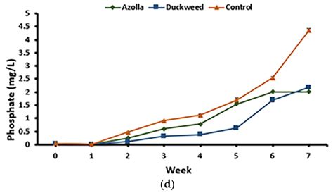 Effects of Aquatic Plants on Nutrient Concentration in Water and Growth ...