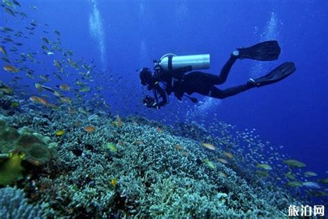 三亚浮潜哪里最好 三亚潜水方式有哪些_旅泊网
