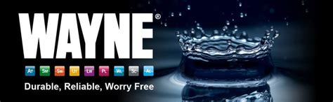 WAYNE 57729-WYNP WAPC250 1/4 HP Automatic ON/OFF Water Removal Pool ...