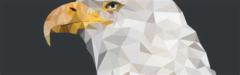 Download wallpaper america, eagle, beast, geometric, section animals in ...
