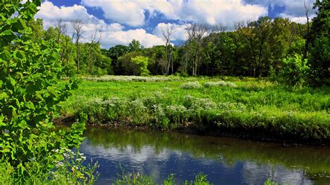Body Found In Nature Preserve: What To Expect Leading Up To A Search