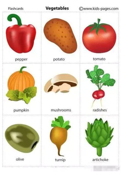 所有水果和蔬菜的名称