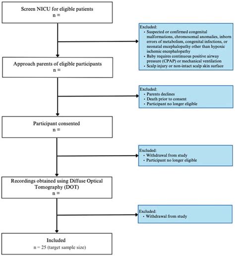 NeuroSci | An Open Access Journal from MDPI