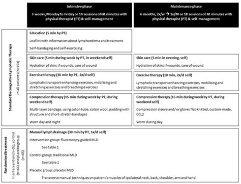 The Effectiveness of Fluoroscopy-Guided Manual Lymph Drainage as Part ...