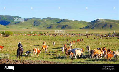 Herdsmen settlements hi-res stock photography and images - Alamy