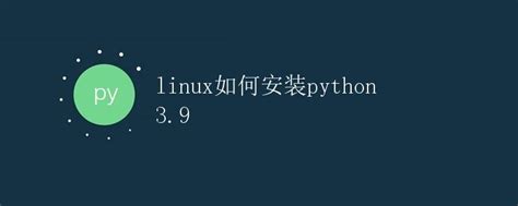 Installing Python 3.9 的图像结果