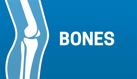 Bones Blue Background Illustration Design 44861201 Vector Art at Vecteezy