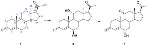 Hydroxylation of Progesterone and Its Derivatives by the ...
