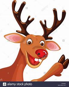 malvorlagen rudolf das rentier reindeer cart stockfotos reindeer cart bilder alamy malvorlagen rudolf das rentier reindeer cart stockfotos reindeer cart bilder alamy