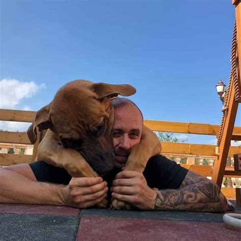 how to train a puppy in 7 days