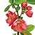 Image result for Color Code Coloring Sheets Spring