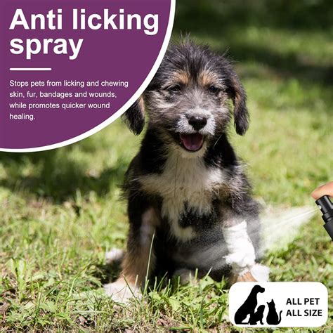 Buy SCOBUTY No Chew Spray for Dogs, Bitter Apple Spray for Dogs to Stop ...
