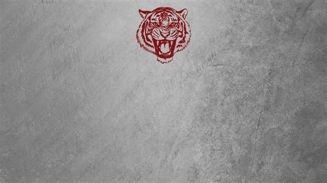 Clay County District Athletics News (Green Cove Springs, FL)