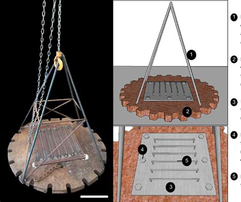Image result for Scale Bar Science