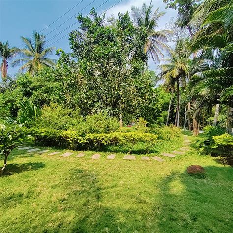Permaculture Farm Tour: Sustainable Agriculture for a Thriving Ecosystem