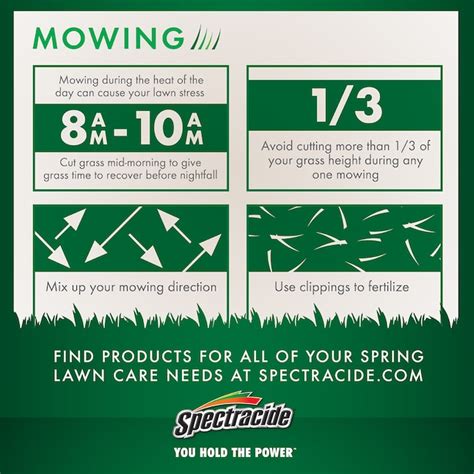 Spectracide Weed Stop For Lawns Plus Crabgrass Killer 1-Gallon Trigger ...