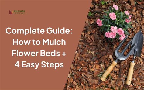 How to Mulch Beds 的图像结果