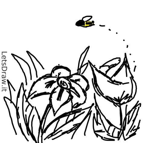 How to Draw a Spring 的图像结果